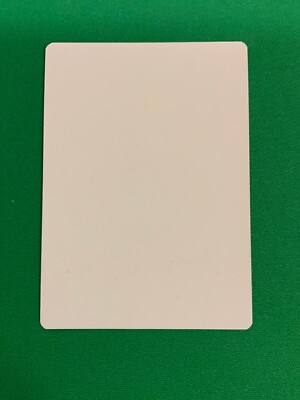 MTG Magic Plains FOIL Signed Artist Proof x1 Shadows Over