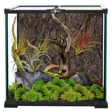 Repti Planet Glas Terrarium 30x30x30cm Würfel Glasterrarium mit Deckel Becken