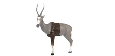New Delta McKenzie Replacement African Blesbok Midsection