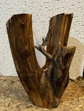 Eastern Red Cedar Live Edge Wood Limb Crotch Great Carving or Craft Project Wood