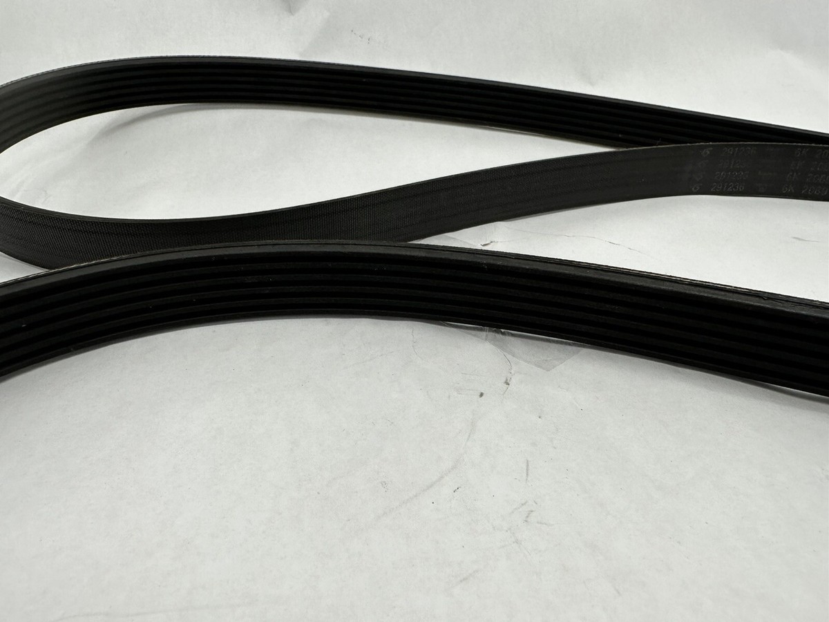 OEM Ferrari 488 Engine Accessory Alternator Drive Belt 291236 | eBay 