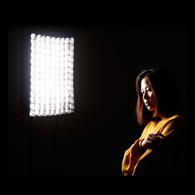 New FALCONEYES RX-12SBHC Softbox For RX-12TD/RX-12T Roll Up Photograp