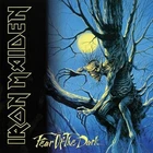 Iron Maiden Fear Of The Dark Records New Sealed Vinly 2017 Reissue