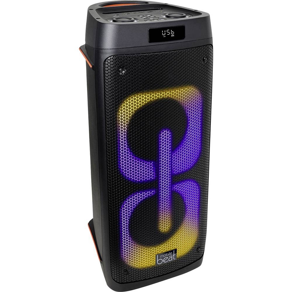 Enceinte Bluetooth noir nomade SB-TWS 200 pour vos pique-niques