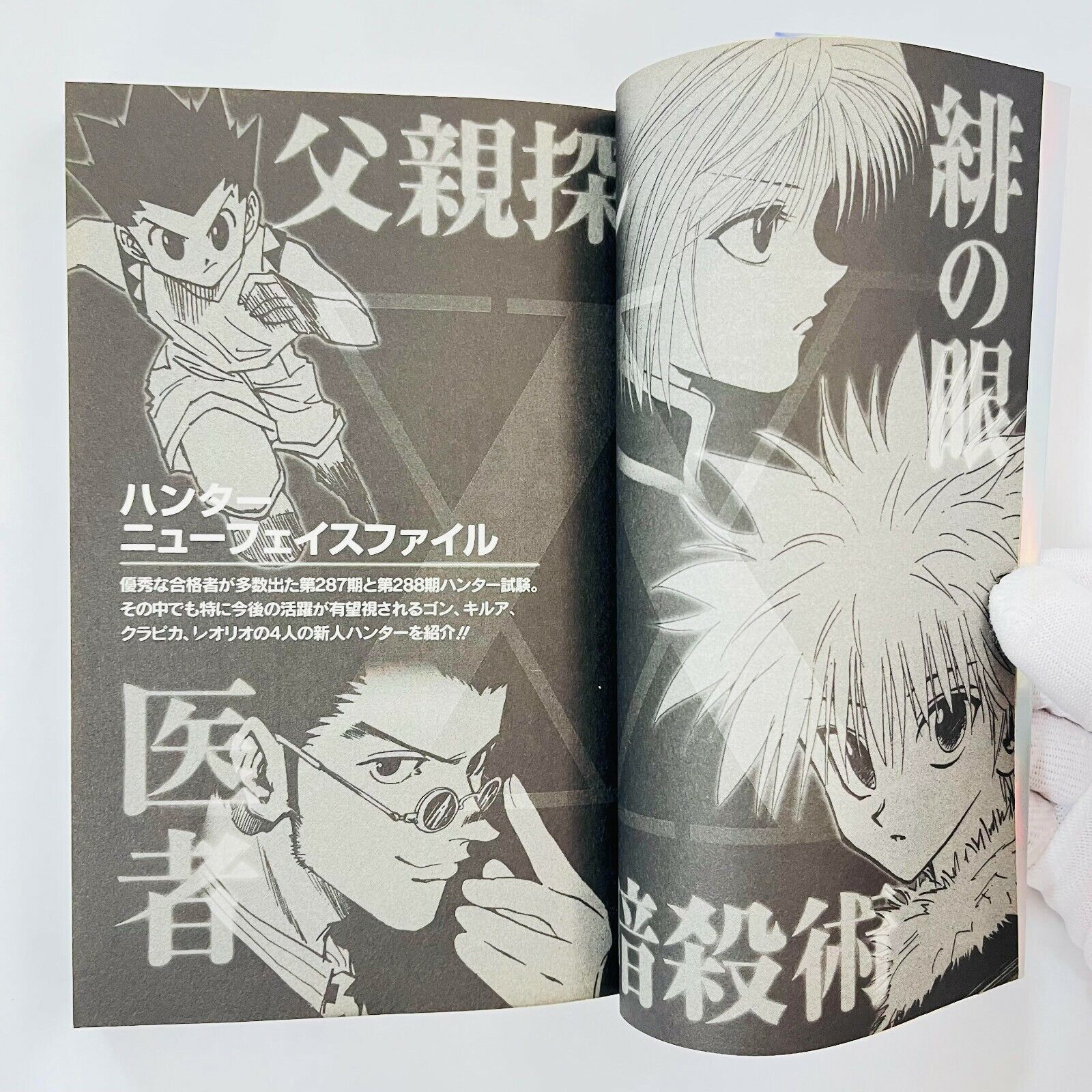 Hunter x Hunter - Hunter's Guide - momozaru