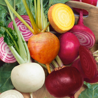 #ad Rainbow Mix Beet Seeds 4 Species Detroit Dark Red amp; Golden Chioggia White $19.99