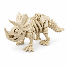 3D Printed Dinosaur Skeleton Triceratops Articulated Figure Toy Color Bone 7in