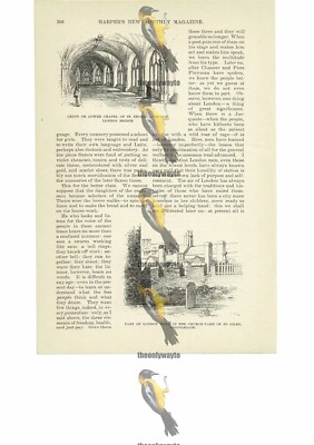 Crypt, St Thomas's & London Wall St Giles Cripplegate, Book Illustration, 1891