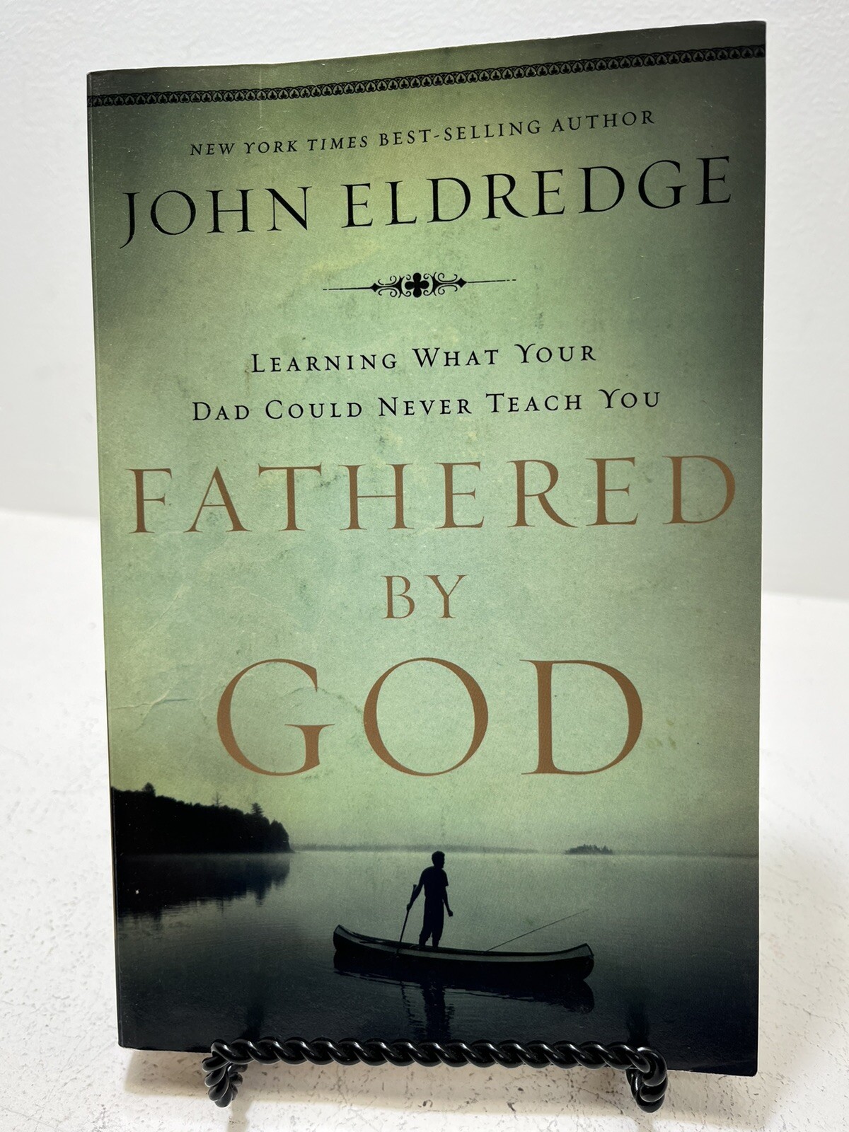 Fathered by God: Learning What Your Dad Could Never Teach You ...