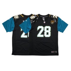 fred taylor jersey