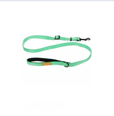 0.75'' x 30'' - 47'' Dog Leash Green