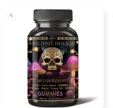 ad hoc health - Ancient Shilajit & Mushroom Gummies - Immune, Energy - EXP08/26