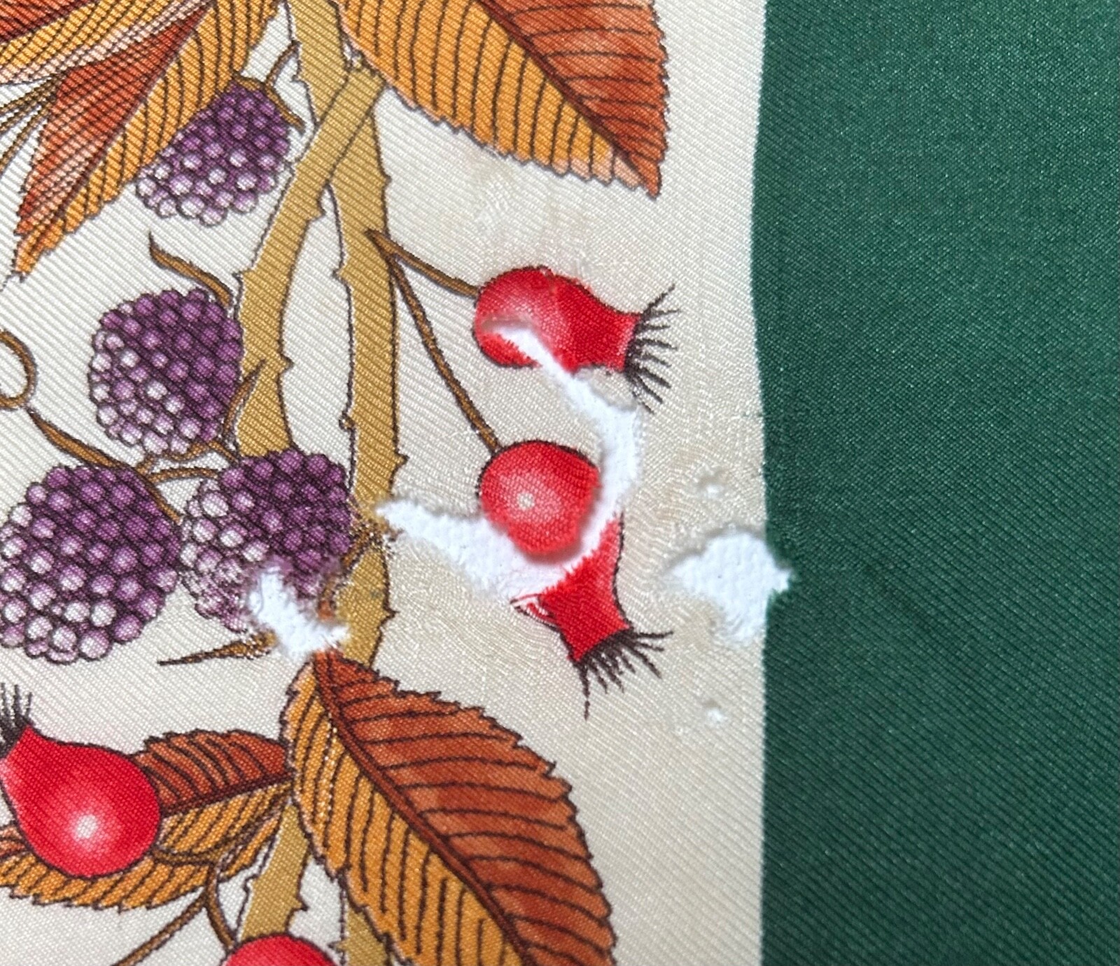 vintage Accornero for Gucci autumn botanical scarf ** for repair ** eBay