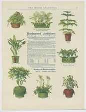 1907 Bombay Reed Planter Mfg. Co. Advertisement: Columbia, South Carolina