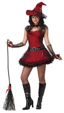 CALIFORNIA COSTUME TEEN MISCHIEVOUS WITCH SIZE 3-5 BRAND NEW