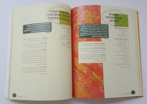 Libro de cocina hebreo kosher CUTLETS por Benny Saida Paperback 2004 Israel F... - Imagen 10 de 11
