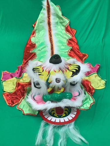 Chinese Lion Dance Costume for two children - 第 16/35 張圖片