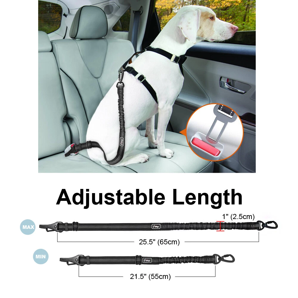 Seat belt clearance lead for dogs