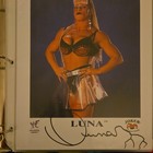 WWF Wrestling Luna Vachon Signed Original Photo Autograph Not Authenticated — photo 2