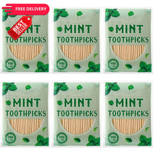 Nuenen 600 Pcs Mint Flavor Toothpicks Bulk Natural Wood Cinnamon
