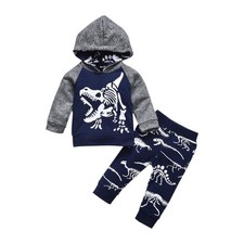 Baby Boys Dinosaur Long Sleeve Hoodie Tops Sweatsuit Pants Winter Outfit Set ...