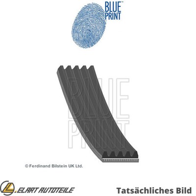 WEDGE RIB STRAP FOR TOYOTA AVENSIS COMBO T22 1CD FTV AVENSIS T22 BLUE PRINT