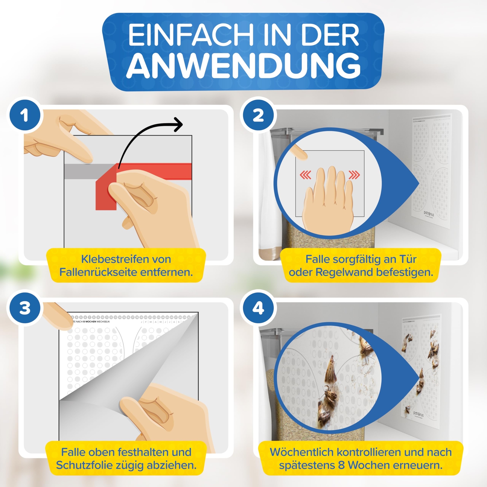 Bild 6 von 8