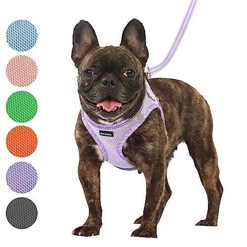 Dog Harness for Small and Medium Size Dogs, Soft XS (Chest:12.5"-14") Purple