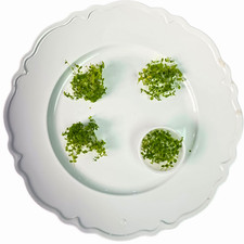 Tofu's Tanks Monte Carlo 2fl oz Buy 2, Get 2 FREE! Live Carpeting Aquarium Plant