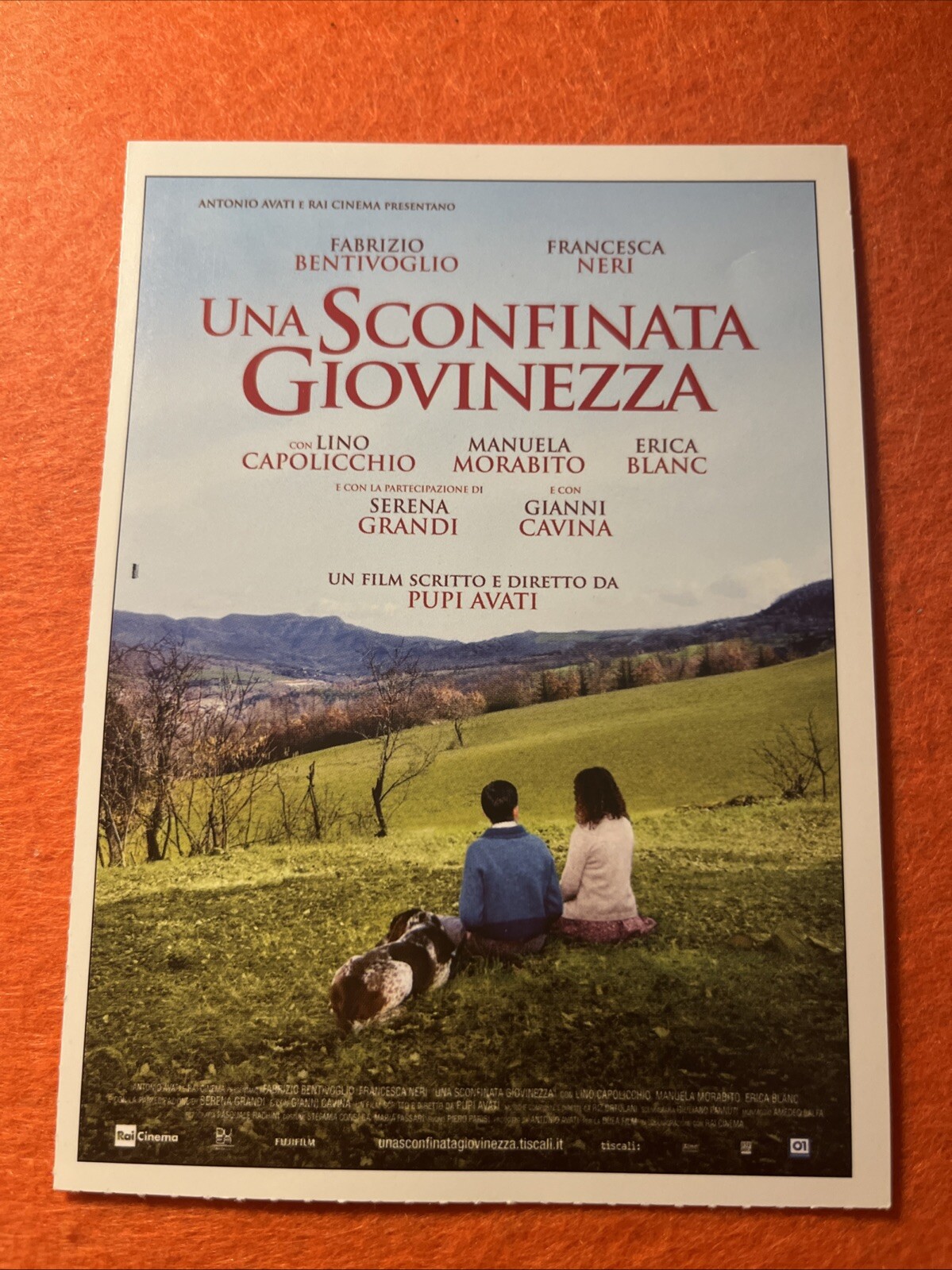 Locandina originale film Una sconfinata giovinezza (2010) - Regia di Pupi Avati