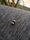 Bild 9 von 12