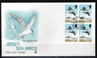 1¢ WONDER'S ~ JERSEY FDC SEA BIRDS THE COMMON TERN BLK4 1975 - F377