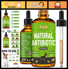 Natural Dog Antibiotics for Infections, Cough  Teeth  Allergy Relief  Breath