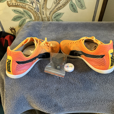 Puma Evospeed Sprint Nitro 2 Running  Mens Orange Sneakers Athletic Shoes 380002