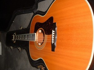 Guild T-50 | eBay