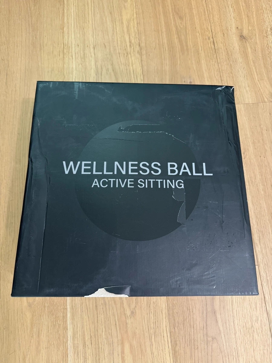 Technogym Active Sitting Wellness Ball- Gray With Black Cover 55cm