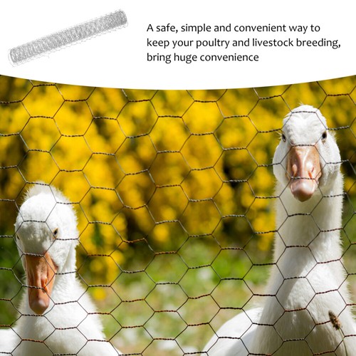 Hexagonal Mesh Decoration Baby Poultry Netting Chicken Wire Hoops - Picture 7 of 12