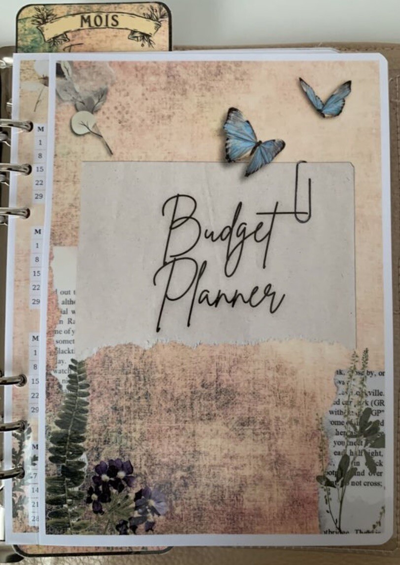 Budget Planner haut de gamme, organiseur financier reliure cuir véritable avec coffret de rangement