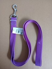 Dog Leash Purple Large 1in. X 60 in.