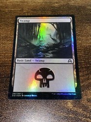 Swamp (290) Foil - Shadows over Innistrad