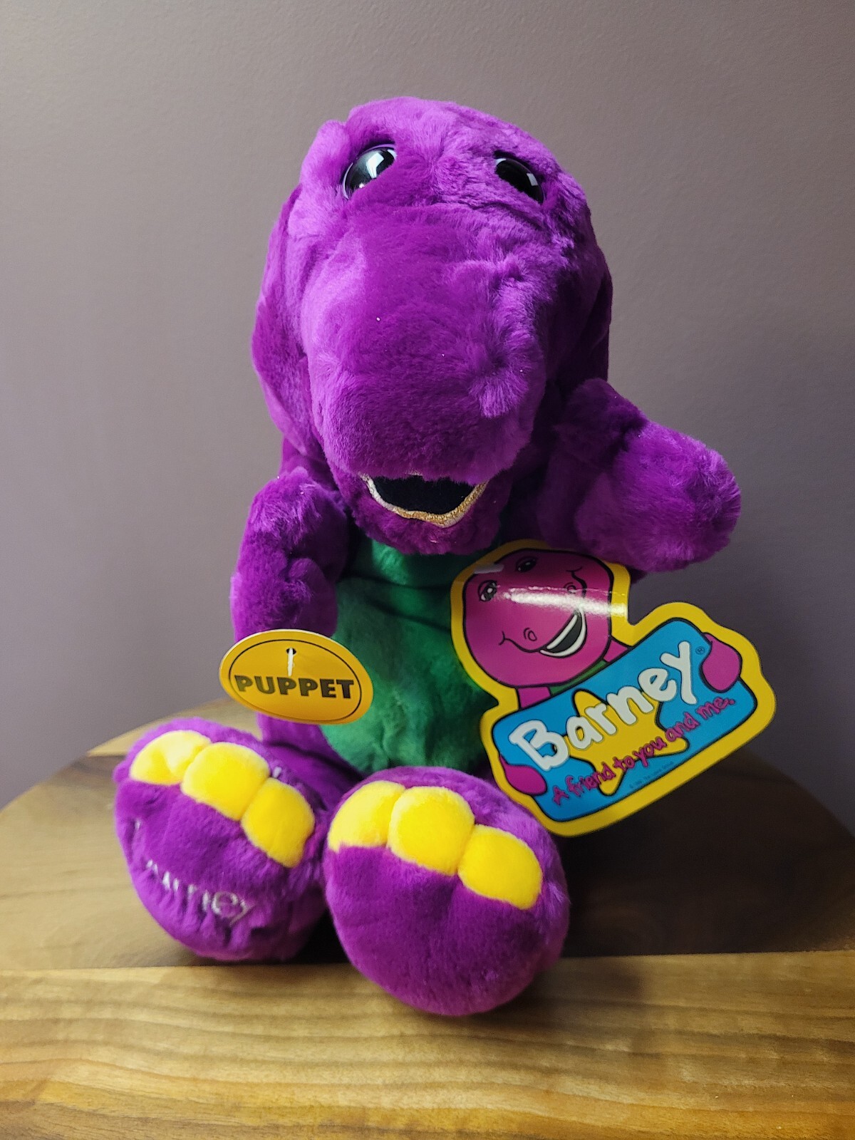 Barney 11