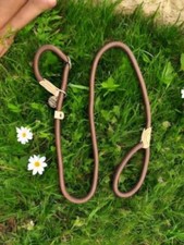 Premium Dog Slip Lead - Soft Rope, Adjustable Figure 8 Halter, Black or Brown