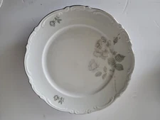 Mitterteich Bavaria Mystic Rose German China 10 In Dinner Plate Set Of 8