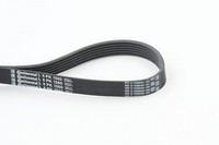Continental Ctam Keilrippenriemen 6PK1560 FüR BMW Ford CitroËN Rover Peugeot