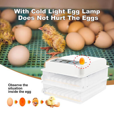 Automatic 120 Eggs Incubator Temperature Control Digital Chicken Egg Hatcher