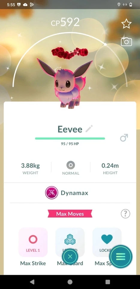 ✨Pokémon G0 -- Dynamax Shiny Eevee - Männlich ✨ Mini P T C