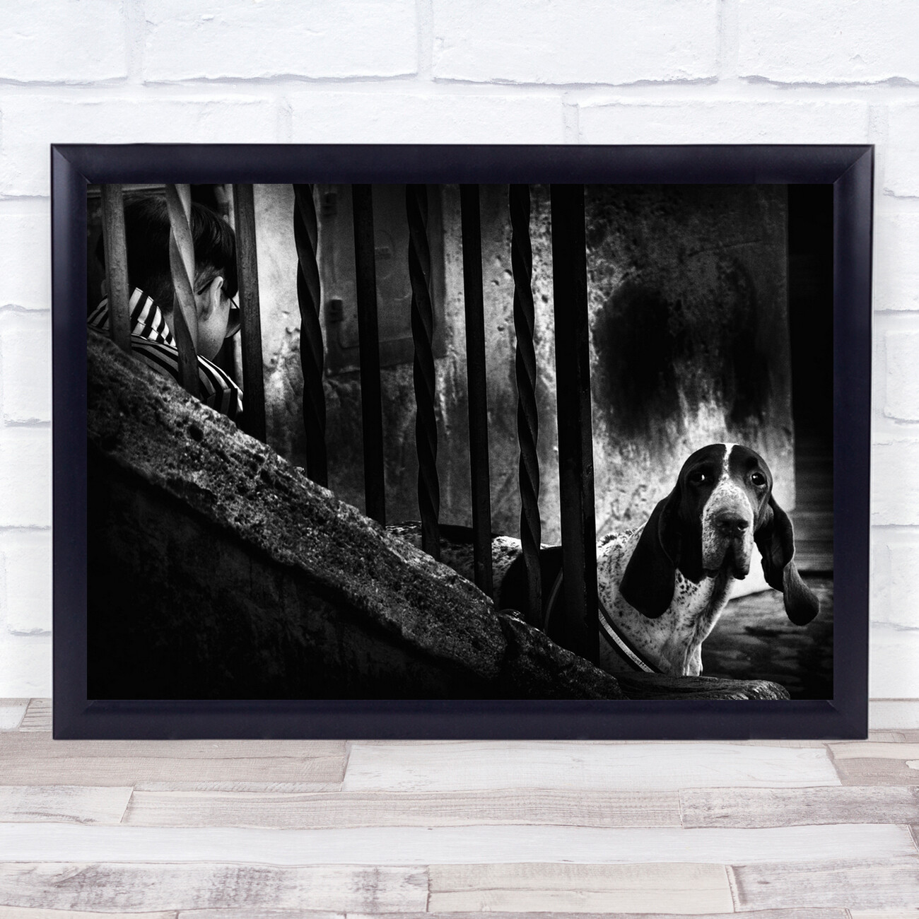 Dog Curious Peek Black & White Street Lampsbars Iron Looking Watching Print