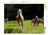 Calvendo Puzzle Haflinger In The Pasture | 1000 Pieces, Finished Size 25.2 × 18.