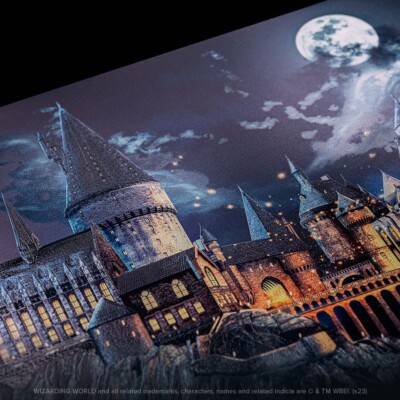 ハリー・ポッターDisplate Limited Edition ポスター Hogwarts Castle