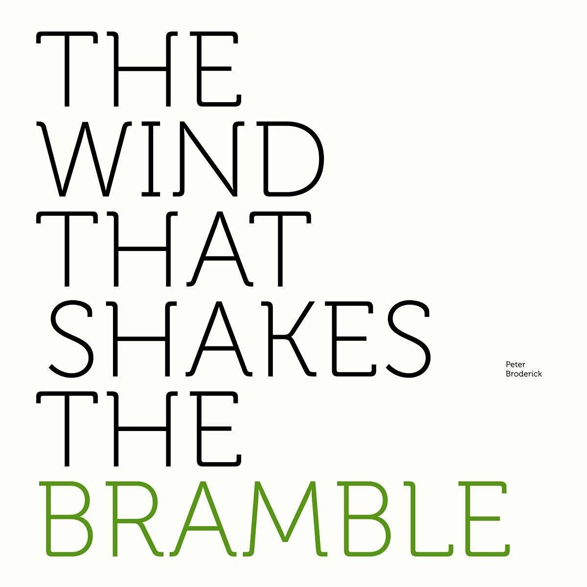Peter Broderick The Wind That Shakes The Bramble (Vinyl LP)